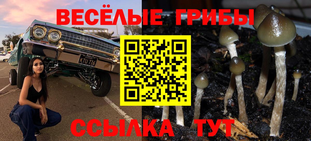 Галлюциногенные грибы Psilocybine cubensis Иваново