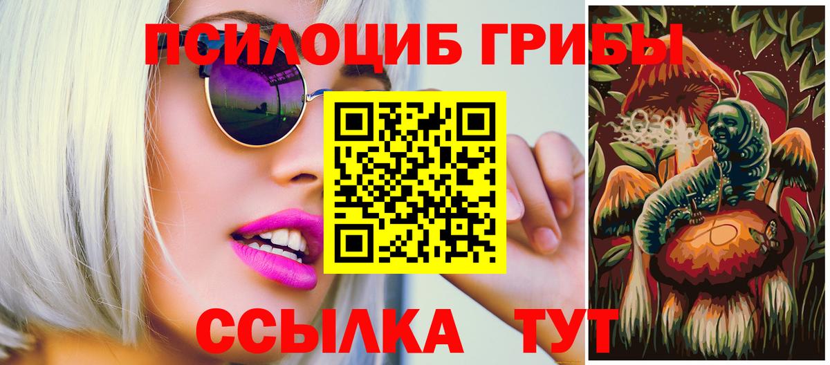 Иваново  Псилоцибиновые грибы GOLDEN TEACHER  купить наркотик  Вход с VPN 